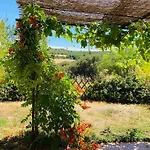 Chez Georges - Maison 4 - Les Du Verdon *