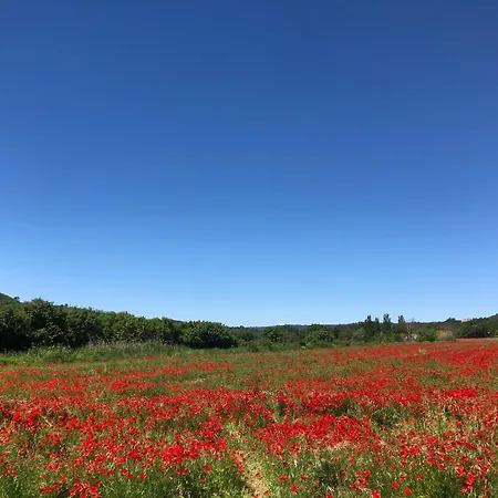 Holiday home Chez Georges - Maison 4 - Les Du Verdon