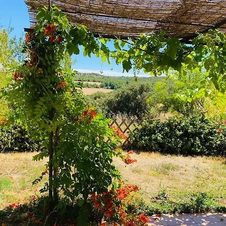 Chez Georges - Maison 4 - Les Du Verdon *